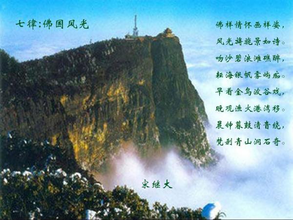 逃出林中村