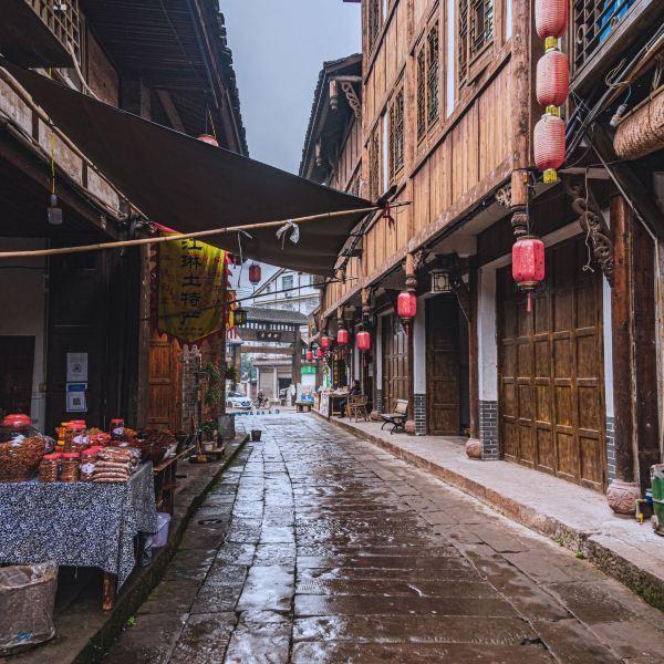 《国色芳华》爆火，杨紫“唐妆”惊艳，刘涛的话，终于有人信了
